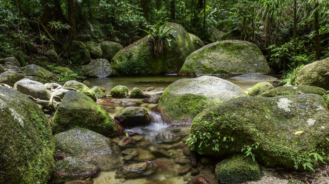 Image of a river and rocks