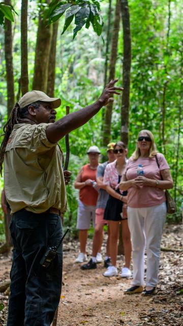 A guide showing tourists around the Mossman Gorge 